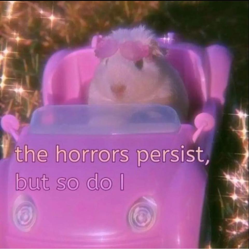 The meme features a cartoon character, likely from a children's TV show, sitting in a pink convertible. The character is wearing a pink dress and a smile, but their eyes are blacked out with a "X" symbol, implying a dark or evil personality. The text overlay reads: "the horrors I've seen, but so do I"